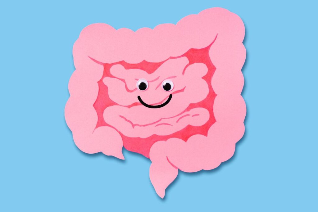 saúde intestinal
